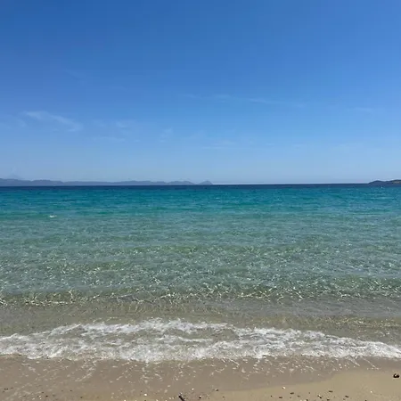 Lägenhet Eleni Pefkochori